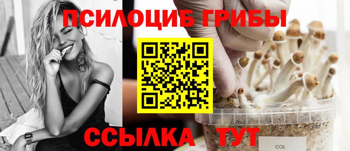 магазин  наркотиков  Вход с VPN  Магадан  Псилоцибиновые грибы ЛСД 